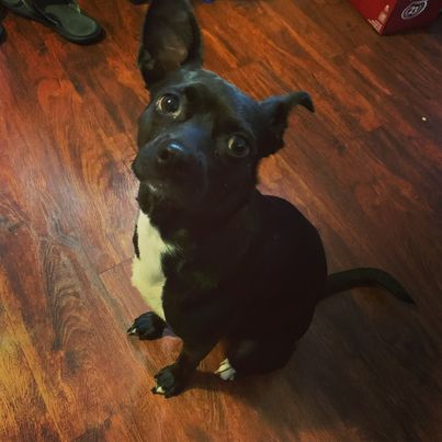 Maggie